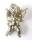 6 St. Engel mit Geige antik silber, Öse zum hängen, partiell glänzend, 9 cm hoch