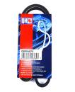 Quinton Hazell QBR 4875 Keilrippenriemen - Keilriemen...