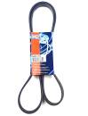 Quinton Hazell QBR 51750 Keilrippenriemen - Keilriemen...