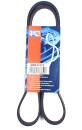 Quinton Hazell QBR 41272 Keilrippenriemen - Keilriemen...