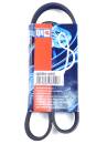 Quinton Hazell QBR 51000 Keilrippenriemen - Keilriemen...
