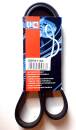 Quinton Hazell QBR 61163 Keilrippenriemen - Keilriemen...