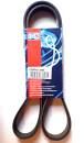 Quinton Hazell QBR 61388 Keilrippenriemen - Keilriemen...