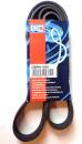 Quinton Hazell QBR 61650 Keilrippenriemen - Keilriemen...