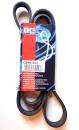 Quinton Hazell QBR 61675 Keilrippenriemen - Keilriemen...
