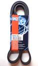 Quinton Hazell QBR 61900 Keilrippenriemen - Keilriemen...