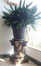 Schwere Deko-Säule / Blumenpodest aus Stuckgips – Antik-Look 48 cm hoch H329