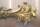 Vintage Wandspiegel in originalgetreuer Barock-Optik Faux Wood 131 cm hoch H328
